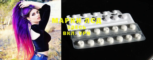 ПСИЛОЦИБИНОВЫЕ ГРИБЫ Гусев