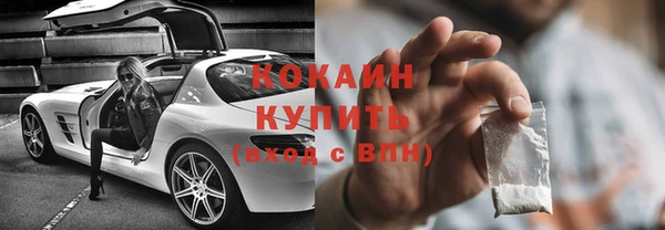 ПСИЛОЦИБИНОВЫЕ ГРИБЫ Гусев