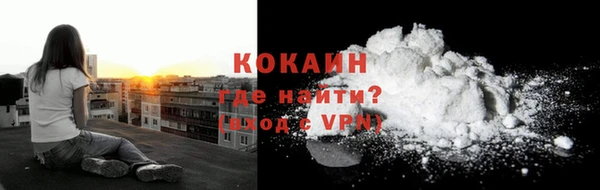 ПСИЛОЦИБИНОВЫЕ ГРИБЫ Гусев