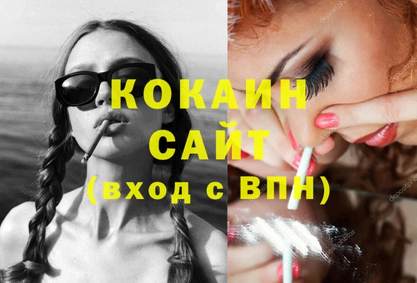 ПСИЛОЦИБИНОВЫЕ ГРИБЫ Гусев