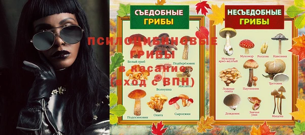 ПСИЛОЦИБИНОВЫЕ ГРИБЫ Гусев