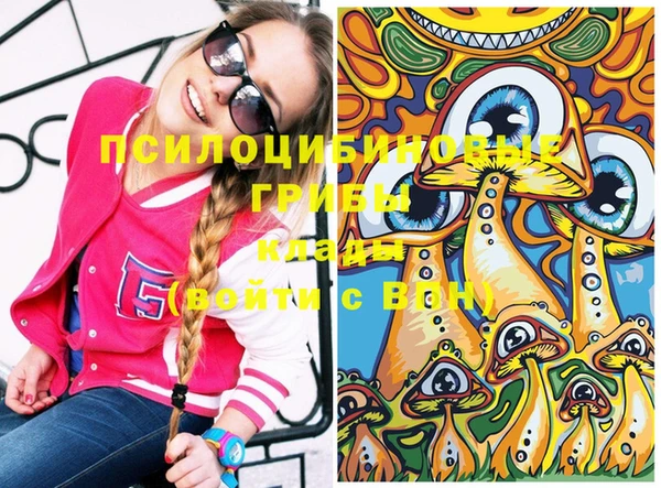 ПСИЛОЦИБИНОВЫЕ ГРИБЫ Гусев