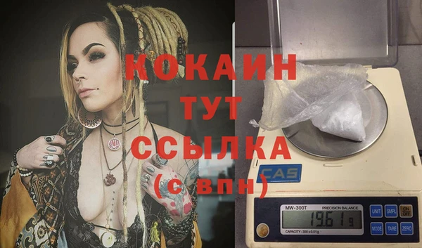 ПСИЛОЦИБИНОВЫЕ ГРИБЫ Гусев