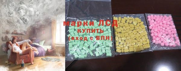 ПСИЛОЦИБИНОВЫЕ ГРИБЫ Гусев