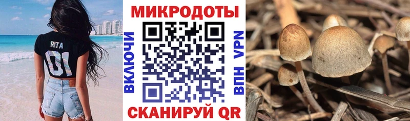 Купить где  Хабаровск  Галлюциногенные грибы мухоморы 